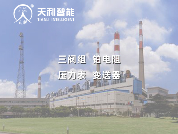 江蘇南通電廠2*1000MW級工程凝結(jié)水泵項目